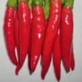 Cayenne Picante/Hot Chili Samen