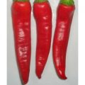 De Cayenne Chili Samen