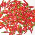Wildsorte Hawaii Chili Samen