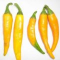 Sebes Chili Samen
