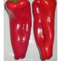 Cubanelle Sweet Chili Samen