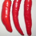 Aci Biber Sweet Chili Samen