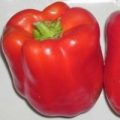 Chinese Giant Chili Samen