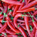 Spanischer Pfeffer rot Chili Samen