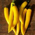 Spanischer Pfeffer gelb Chili Samen