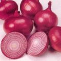 Zwiebel Red Creole Samen