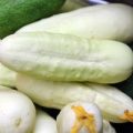 Gurke White Wonder Samen
