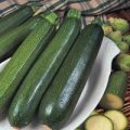Zucchini All Green Bush Samen