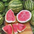 Wassermelone Calsweet Samen