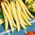 Stangenbohne Yellow French Berggold Samen