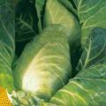 Kohl Durham Early Samen