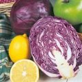 Rotkohl Red Drumhead Samen
