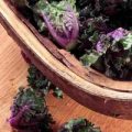 Rosenkohl Flower Sprout Samen