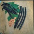 Stangenbohne Cosse Vilette