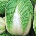 Kohl Michihili Samen