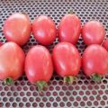 Pink Thai Egg Tomaten Samen