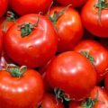 Domingo Tomaten Samen