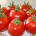 Hellfrucht Tomaten Samen