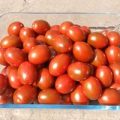 Dark Red Egg Tomaten Samen
