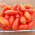 Himmelsstürmer Tomaten Samen