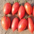 Artisan Pink Tiger Tomaten Samen