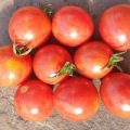 Artisan Pink Bumble Bee Tomaten Samen