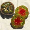 Ananas Noire Tomaten Samen