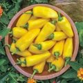 Lemon Dream Chili Samen