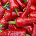 Pepperone Piccante Lungo Chili Samen