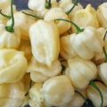 Habanero Big White Chili Samen