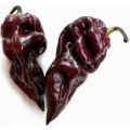 Trinidad Scorpion Moruga Black Chili Samen