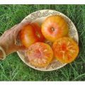Pineapple Beefsteak Tomaten Samen