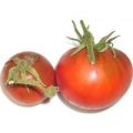 Black Truffle Tomaten Samen