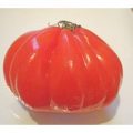 Cuore di Bue Tomaten Samen