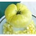 Great White Beefsteak Tomaten Samen