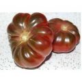 Purple Calabash Tomaten Samen