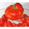 Pantano Romanesco Tomaten Samen
