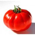 Charlie Chaplin Tomaten Samen