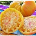 Old German Tomaten Samen