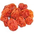 Scotch Bonnet Chili ganz