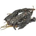 Pasilla Chili ganz
