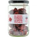 Red Savina Habanero Chili ganz