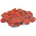Trinidad Scorpion Butch T Chilis ganz