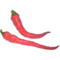 Cayenne Thick Chili Samen