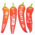 Sweet Banana Chili Samen