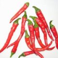 Long Red Cayenne Chili Samen