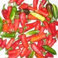 Fish Pepper Chili Samen