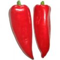 Barbecue Pepper Chili Samen