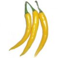 Cayenne Yellow Chili Samen
