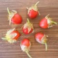 Litchi-Tomaten Samen